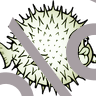 form of